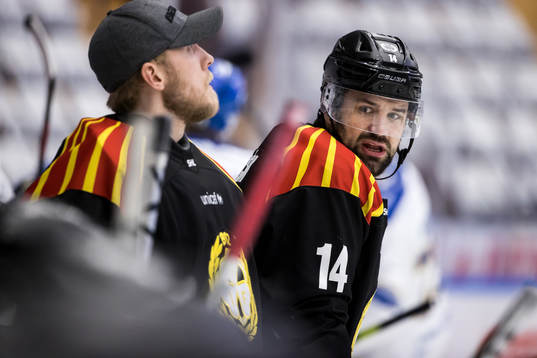Brynäs Johan Alcén