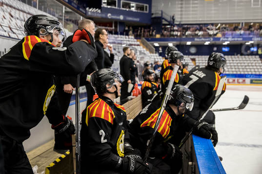Brynäs spelarna deppar