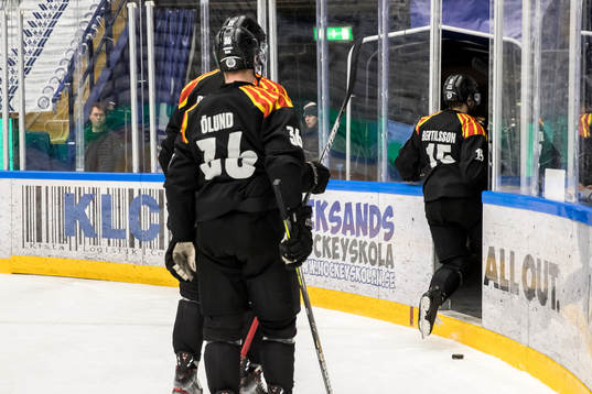 Brynäs spelarn deppar