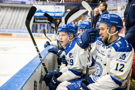 Leksands Fredrik Forsberg och Leksands Emil Heineman