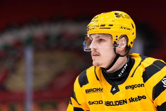 Skellefteås Jonathan Johnson innan ishockeymatchen i SHL