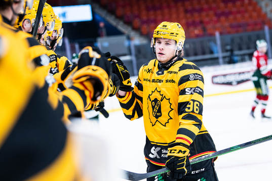 Skellefteås Rickard Hugg jublar