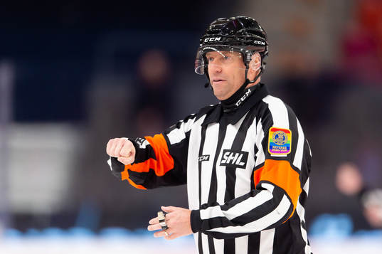 Domare Sören Persson