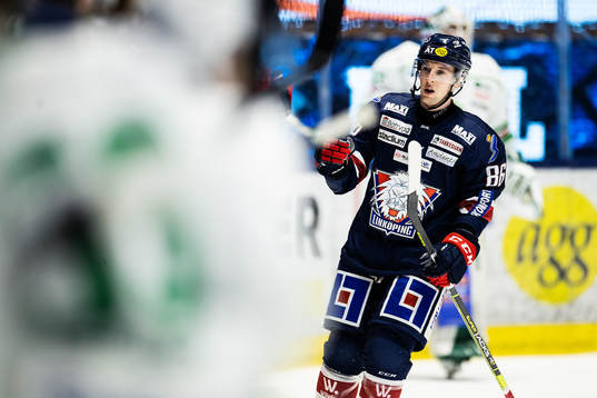 Linköpings Tyler Morley jublar