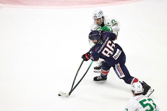 Linköpings Tyler Morley och Rögles Joseph Laleggia