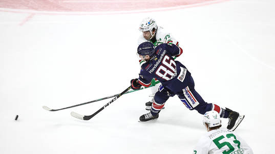 Linköpings Tyler Morley och Rögles Joseph Laleggia