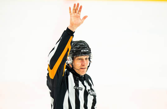 Domare Morgan Johansson