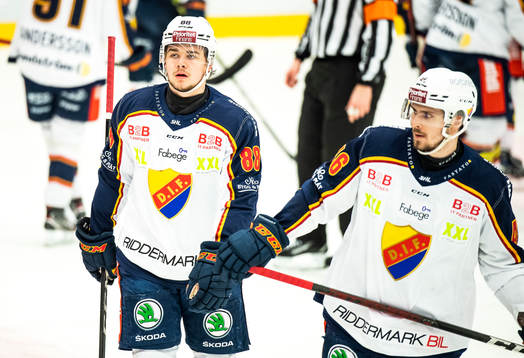 Djurgårdens Alexander Holtz och Albin Grewe deppar