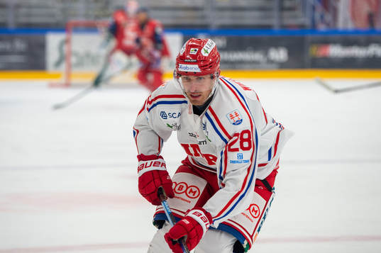 Timrås Patrick Wiercioch