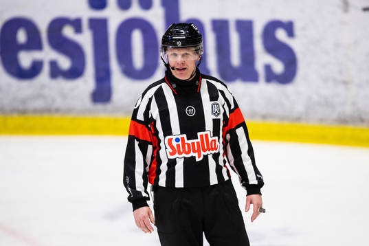 Domare Anders Sandahl