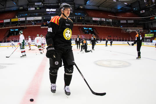 Brynäs Shane Harper