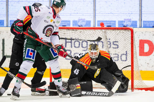 Bläddra bland fler bilder av Ishockey, SHL, Brynäs - Frölunda