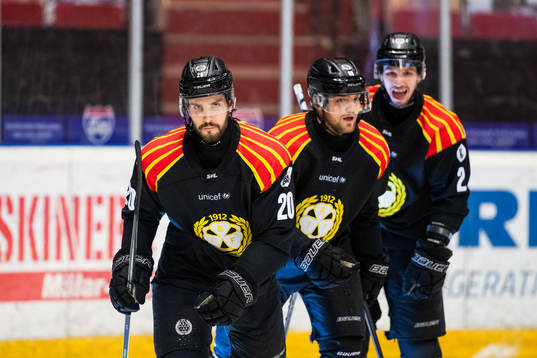 Brynäs Oula Palve