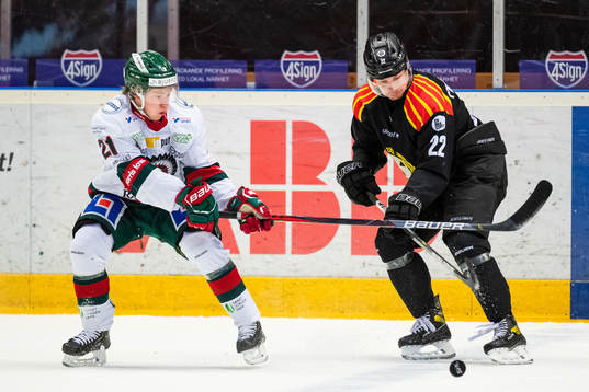 Frölundas Karl Henriksson och Brynäs Adam Pettersson