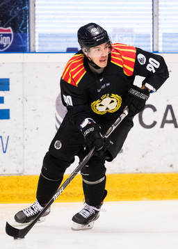 Brynäs Shane Harper