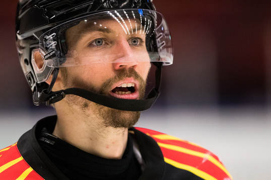 Brynäs Anton Rödin