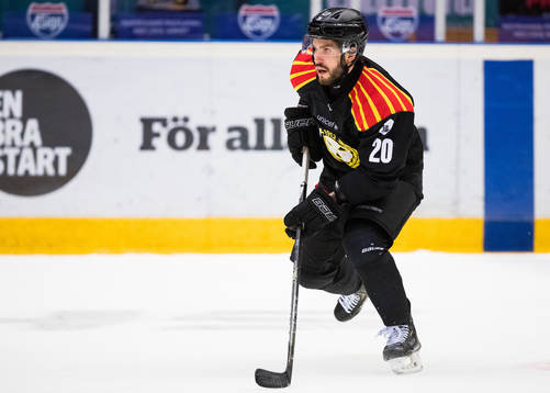 Brynäs Oula Palve