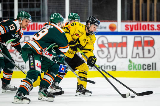 Västerås Gabriel Kangas