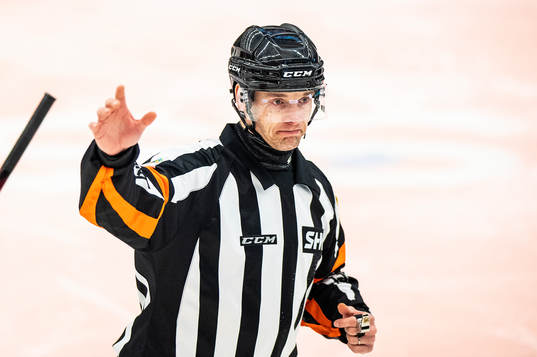 Domare Mikael Andersson