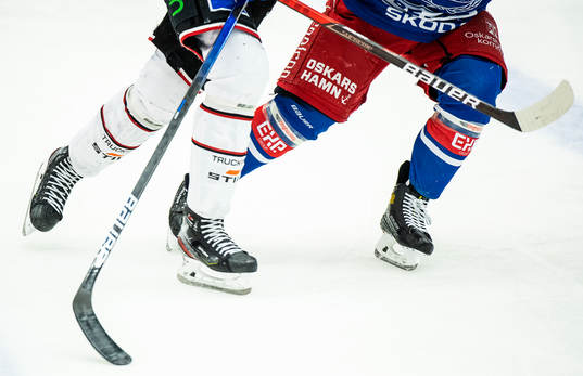 Skridskor och klubbor