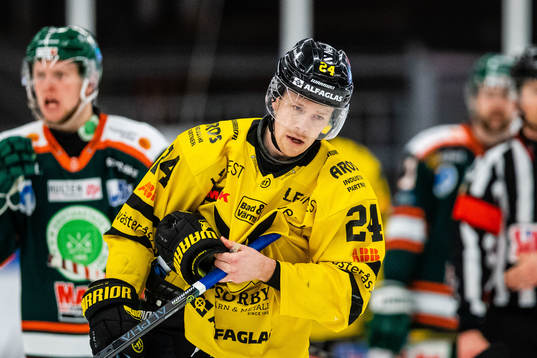 Västerås Joakim Hillding har ontunder ishockeymatchen i