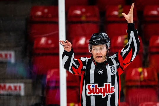 Domare Filip Sandstedt
