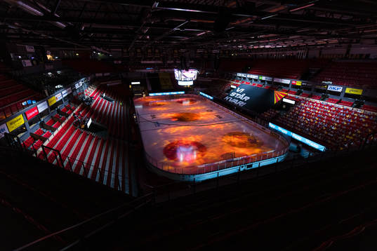 Monitor ERP arena
