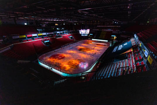 Monitor ERP arena