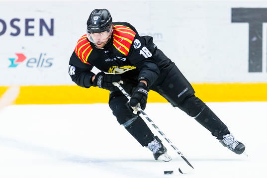 Brynäs Anton Rödin