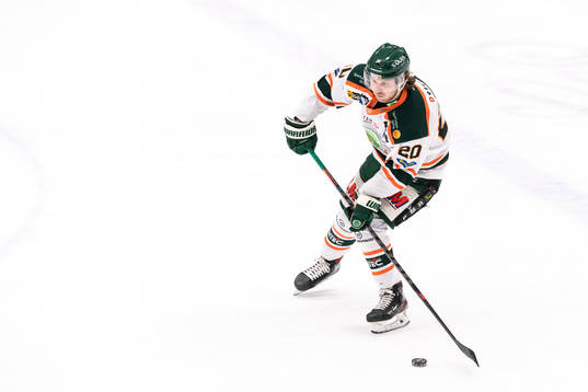 Kristianstads Erik Flood