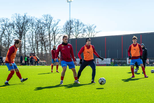 Helsingborgs spelare