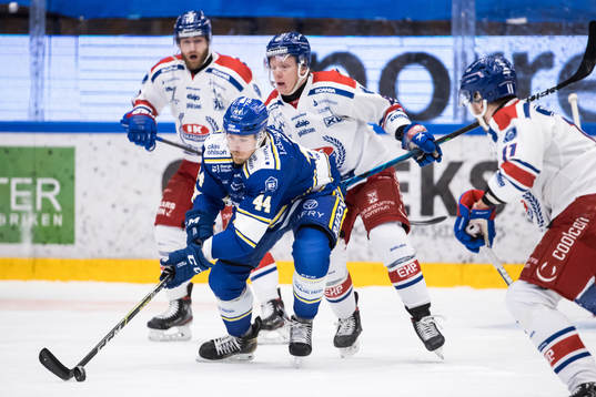 Leksands Carter Ashton