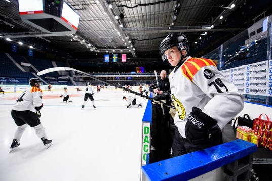 Brynäs Daniel Mannberg