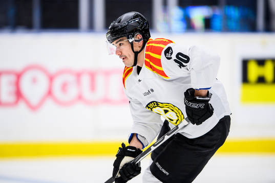 Brynäs Shane Harper