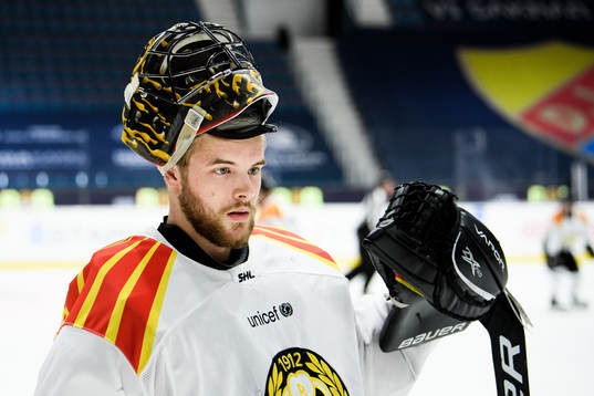 Brynäs målvakt Samuel Ersson
