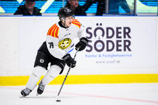 Brynäs Daniel Mannberg
