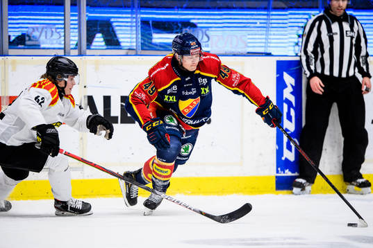 Brynäs Tom Hedberg och Djurgårdens Rhett Rakhshani
