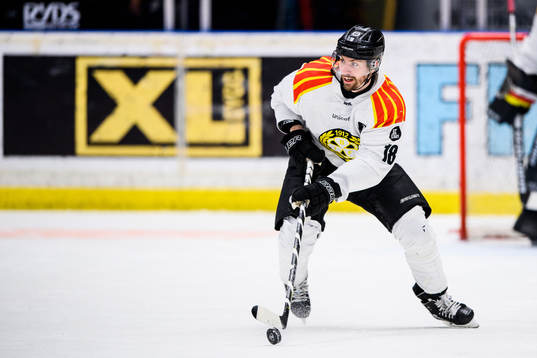 Brynäs Anton Rödin