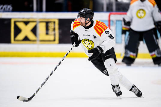Brynäs Anton Rödin