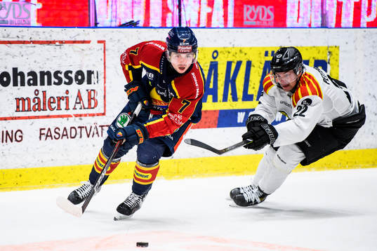 Djurgårdens Robert Nardella och Brynäs Adam Pettersson