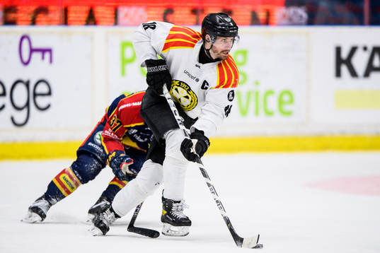 Brynäs Anton Rödin