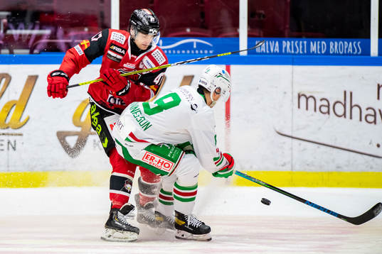 Malmö Redhawks Adam Johnson och Rögles Samuel Johannesson