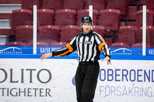 Domare Mikeal Sjöqvist