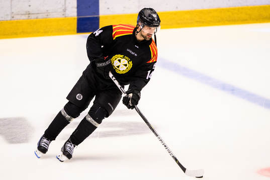 Brynäs Johan Alcén