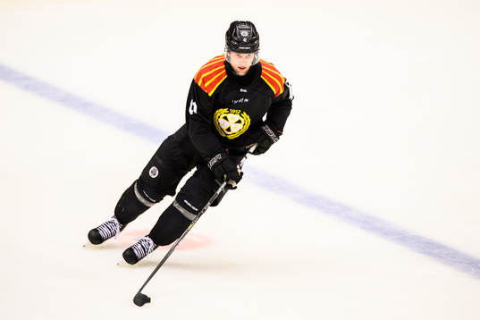 Brynäs Greg Scott