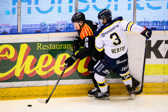 s Daniel Bertov