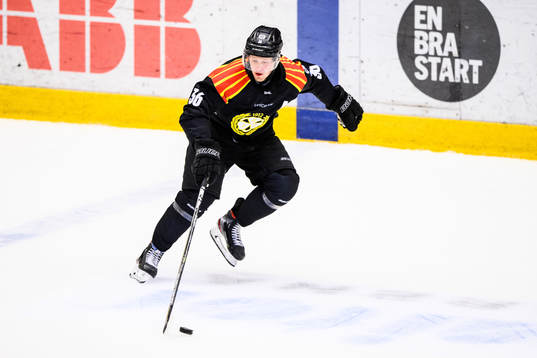 Brynäs Linus Ölund