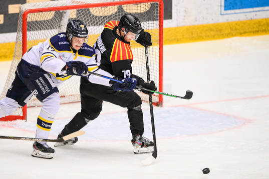 s Emil Johansson och Brynäs Daniel Mannberg