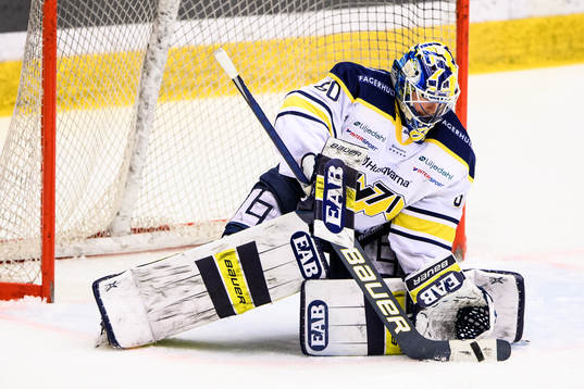 s målvakt Hugo Alnefelt
