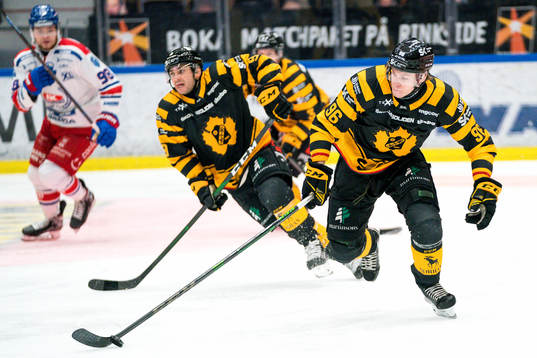 Skellefteås Rickard Hugg och Darren Nowick